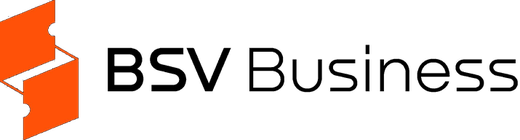 BSV Business logo
